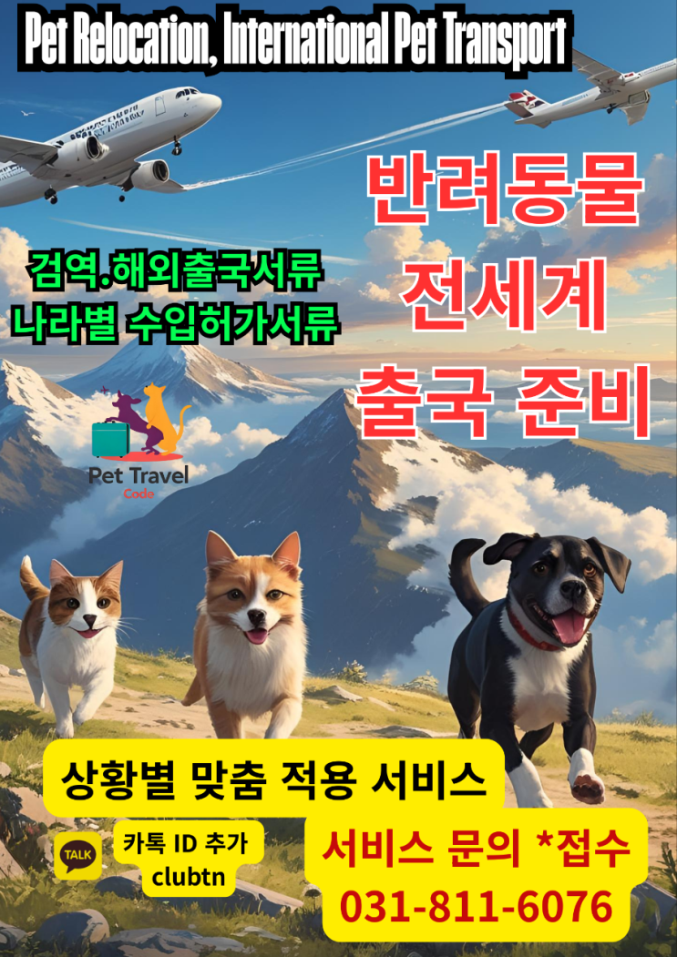  반려동물 해외 출국, 검역·서류 준비 꿀팁! 국가별 반려동물 출국 서류 총정리