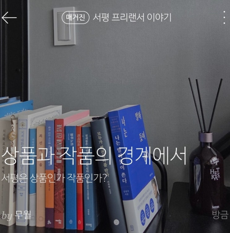  상품과 작품 경계 위의 서평