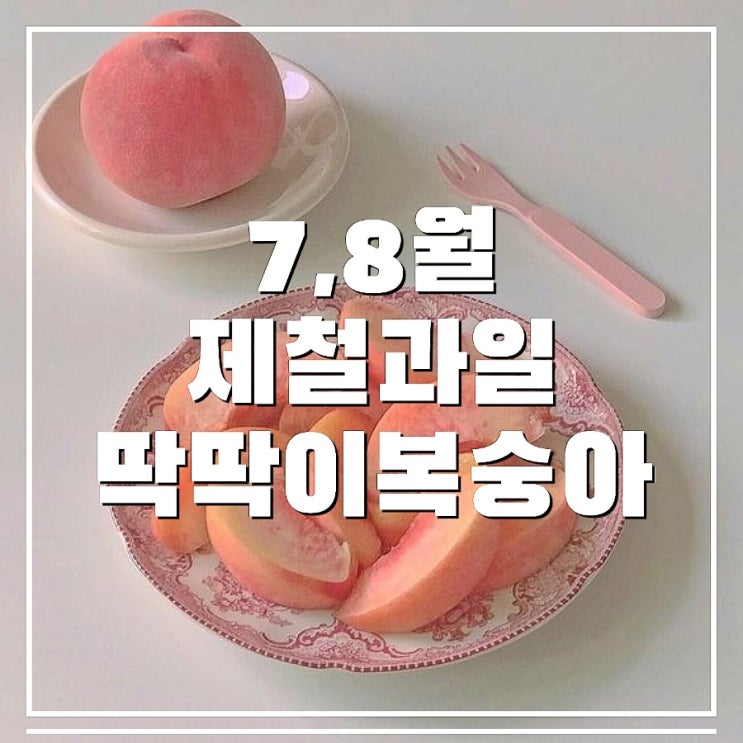  정담아 농원  딱딱이 복숭아 먹는법 후숙부터 보관까지