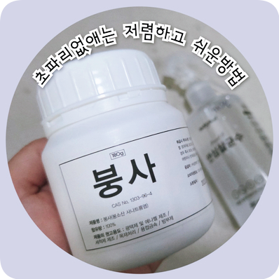 날파리 · 초파리 없애는법 (붕사 사용 후기)