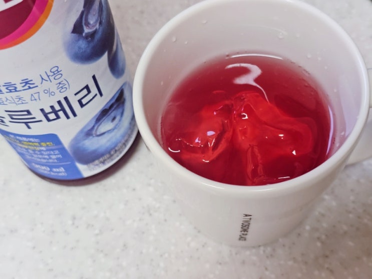  블루베리 홍초 새콤달콤 여름음료 내돈내산 후기