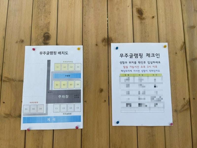 사진 9
