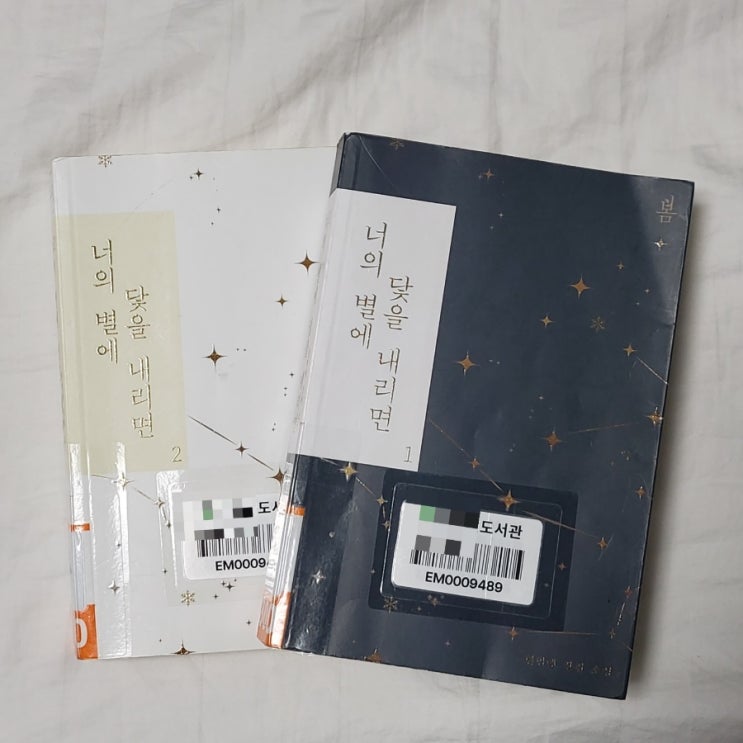  현민예 작가님 『너의 별에 닻을 내리면』 도서 리뷰_어둠 속 서로의 빛이 되어준 두 사람