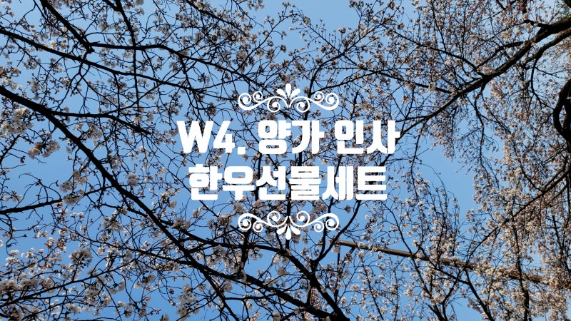 W4. 양가 인사) 부모님 선물로 한우선물세트 준비하기~ 롯데백화점 한우세트. 레피세리 정육....