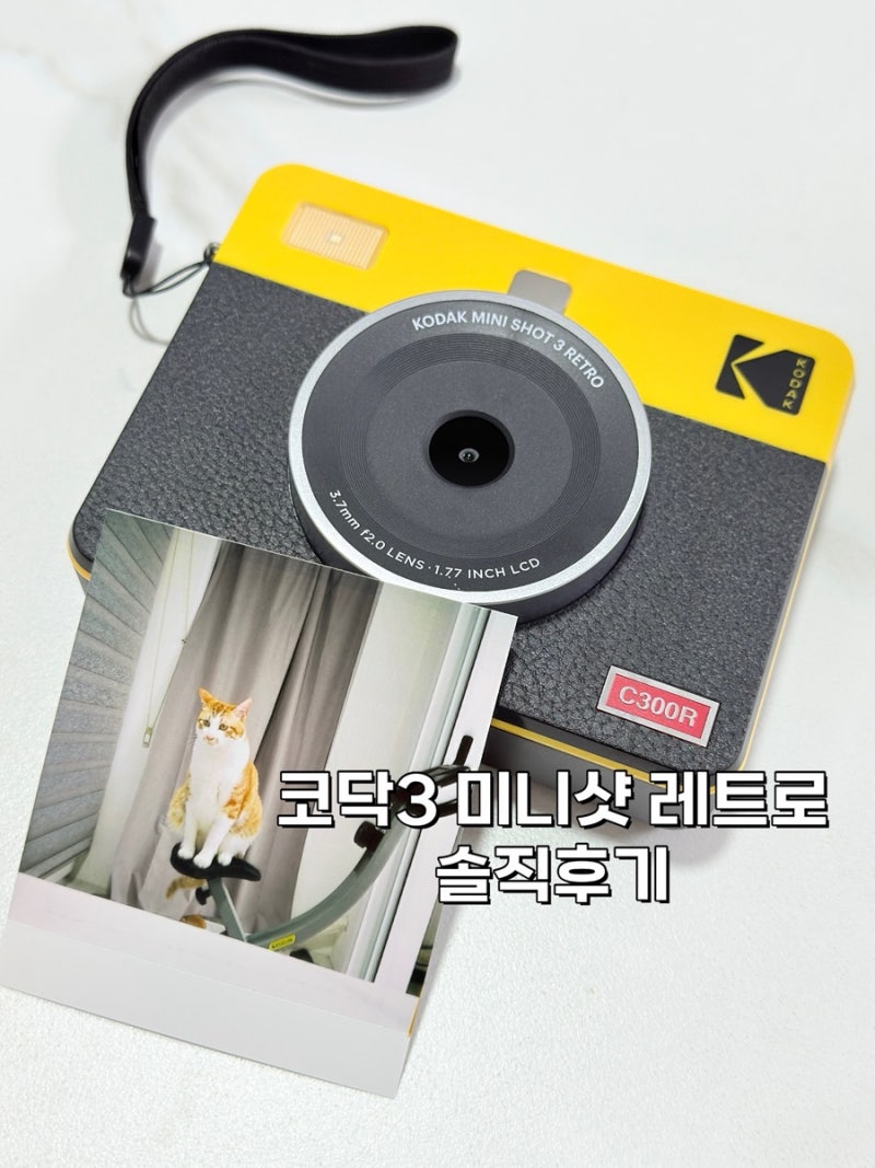 [코닥 미니샷3 레트로 솔직후기] 즉석카메라+포토프린터 동시에? 정보 총정리!