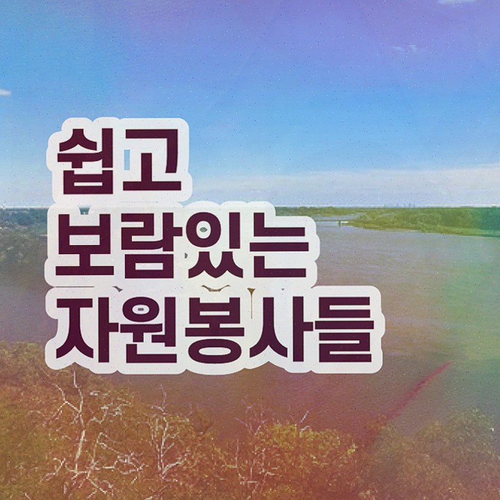  자원봉사지도사 후기 , 비용없이 온라인으로 합격한 후기