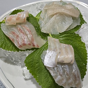 [마산 양덕동 맛집] 아오리_일식 코스요리 전문점 예약필수 / 숙성회, 튀김 전문