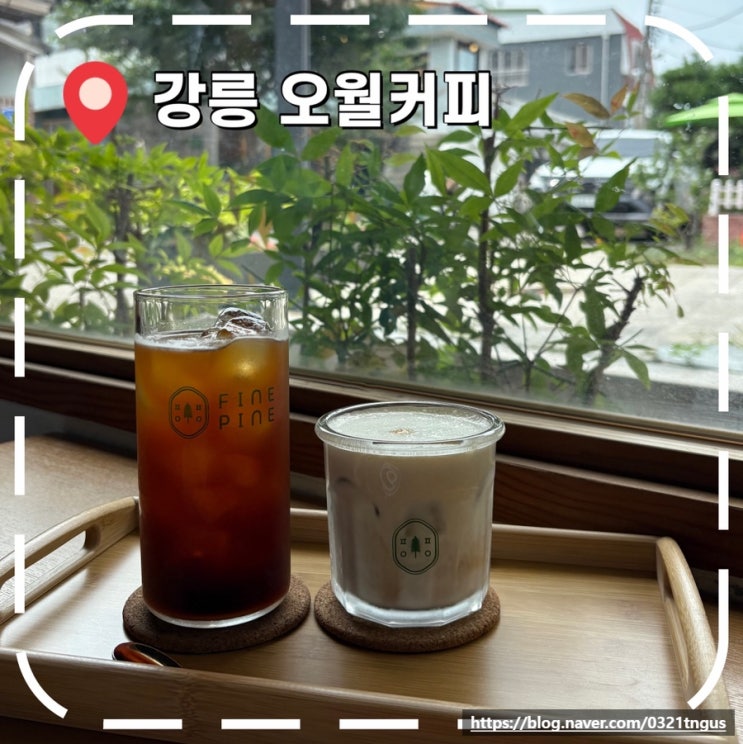  [강릉여행 카페] 강릉 명주동 채광 맛집 감성 카페- ‘오월커피’