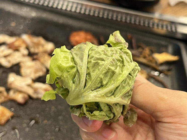  일요일 저녁에는 고기를 먹어줘야 됩니다!