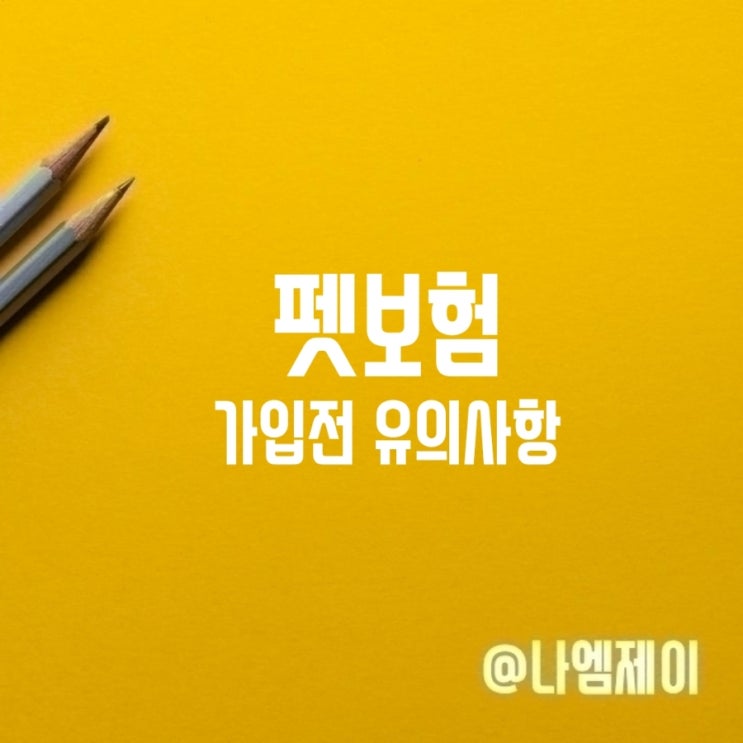  펫보험 가격 보장범위 분석 후 가입하세요