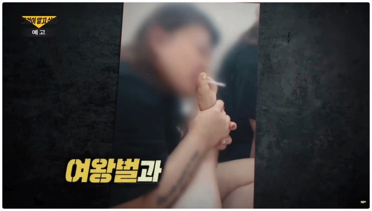  그것이알고싶다 1451회 대구 감금 성매매 사건 여왕벌 태씨 실체 충격 범죄 폭로