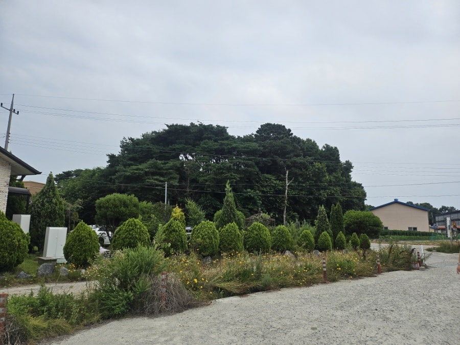 벼뜬날 사진 5