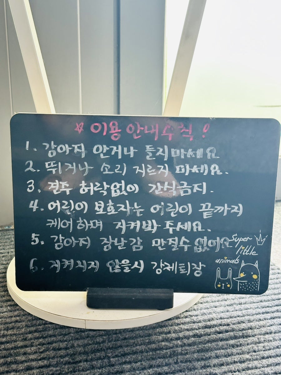 도그 프렌즈 사진 3