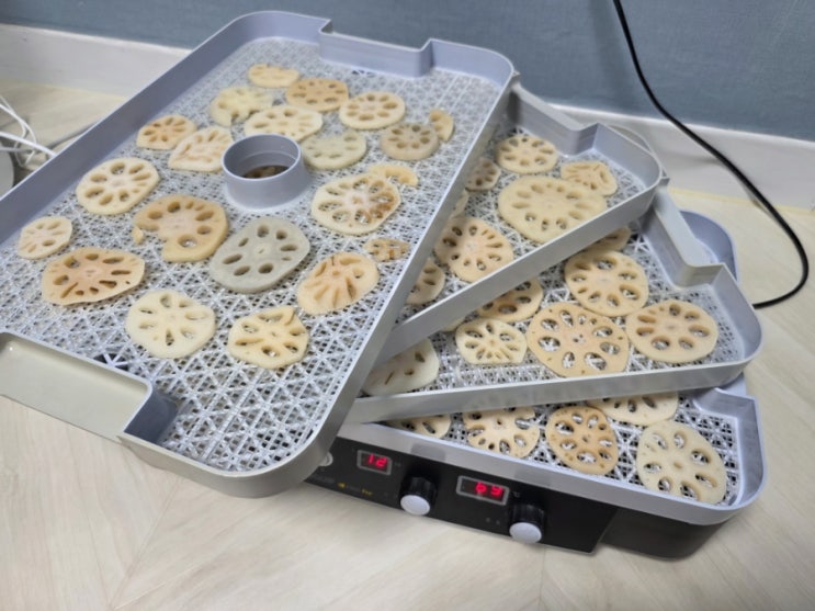  야밤에 나홀로 강아지 간식 만들기 연근 건조칩 만들기 간단 레시피
