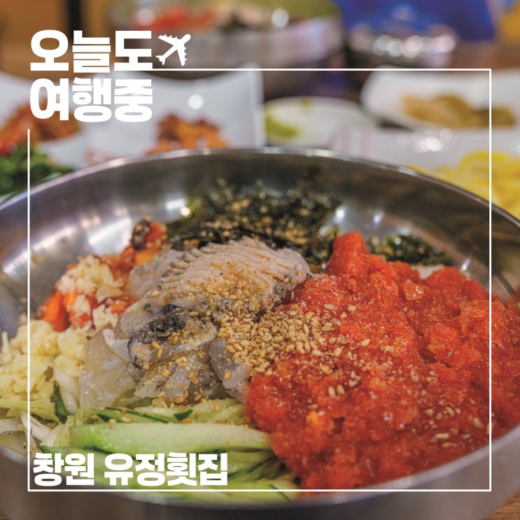  달인의 손길을 느끼고 싶어 찾은 창원 물회 맛집 유정횟집