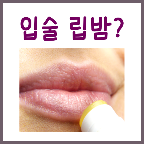  입술 립밤? 이렇게 발라야 보습됩니다