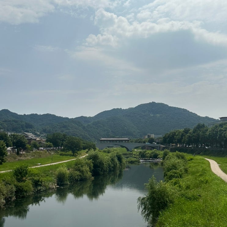  전주는 비빔밥 먹으러 가는곳이 아님. 뭔느알? [1박2일 전주]