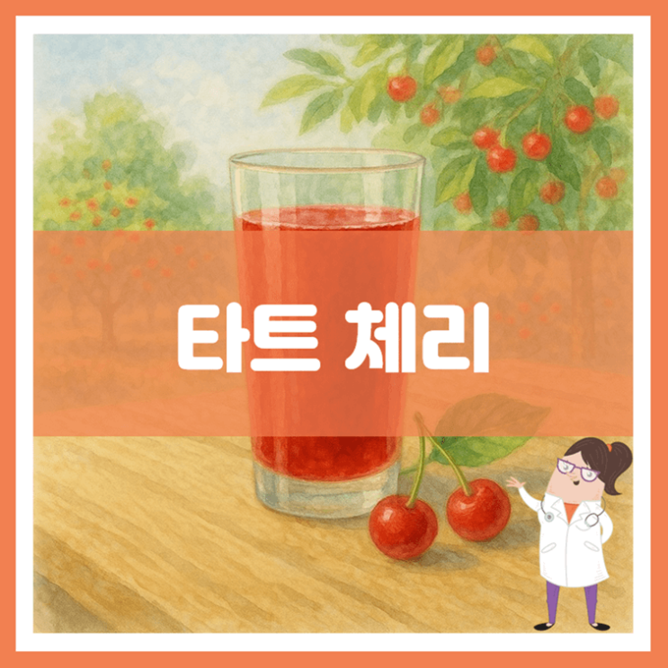  타트 체리 효능 섭취방법 부작용