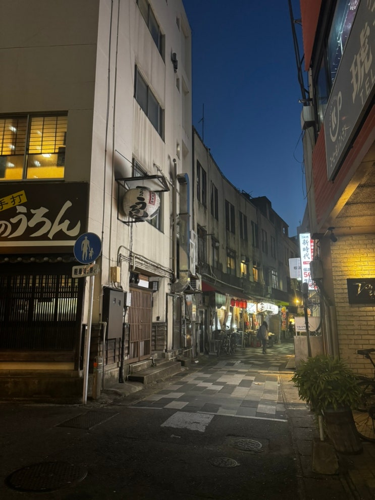  일본여행 간편한 eSIM 어플 소개해드려요 [로밍도깨비]