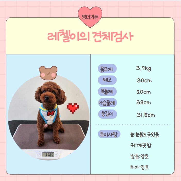 사진 5