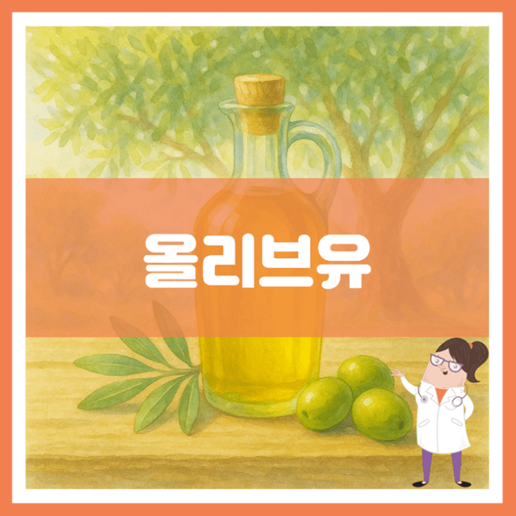  올리브유 효능 섭취방법 부작용