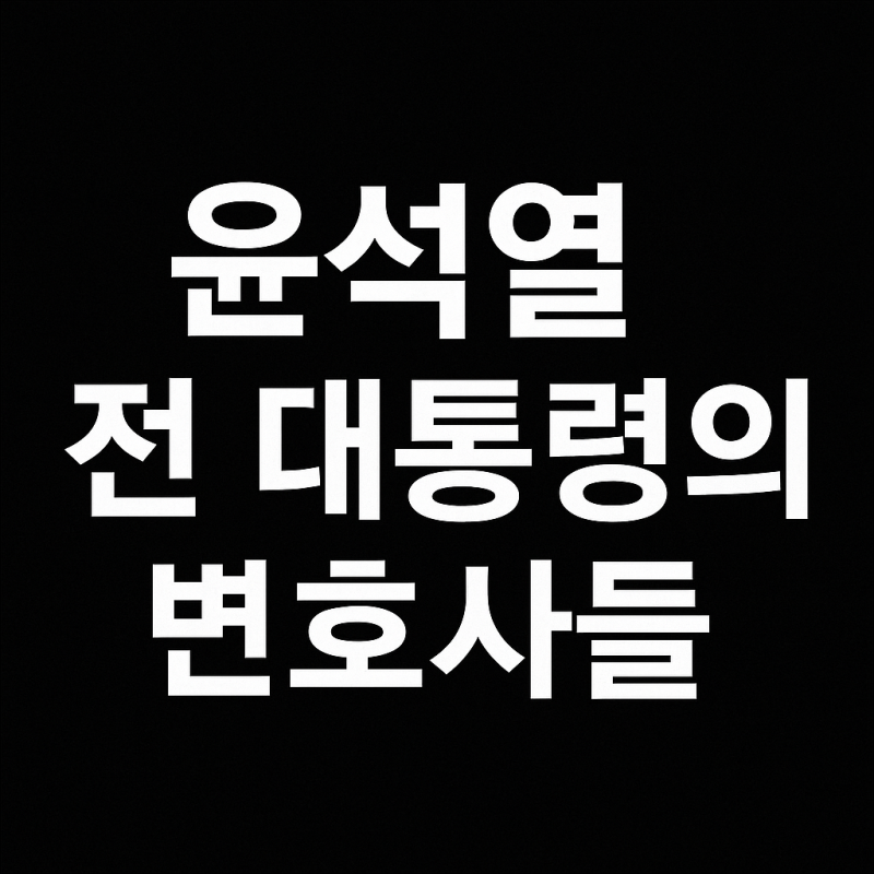 윤석열 전 대통령의 특검 변호사들