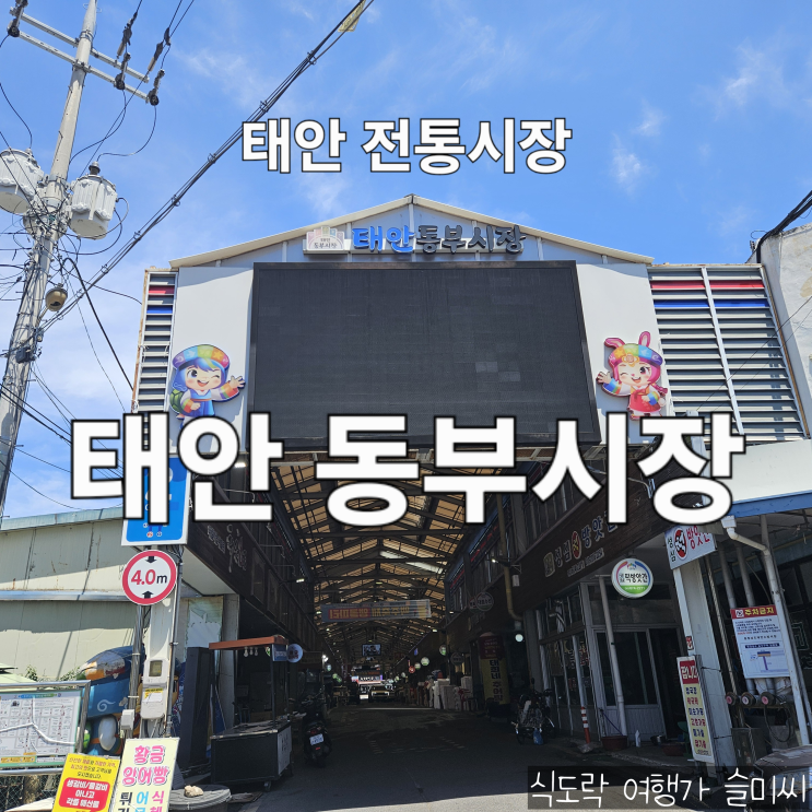  충남 태안 여행 전통시장 수산시장 동부시장 주차장 먹거리 맛집 지도