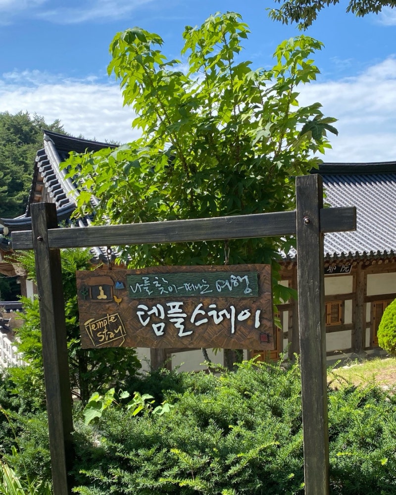 [동화사] 대구 템플스테이: 휴식형 온전한 쉼 주말 후기