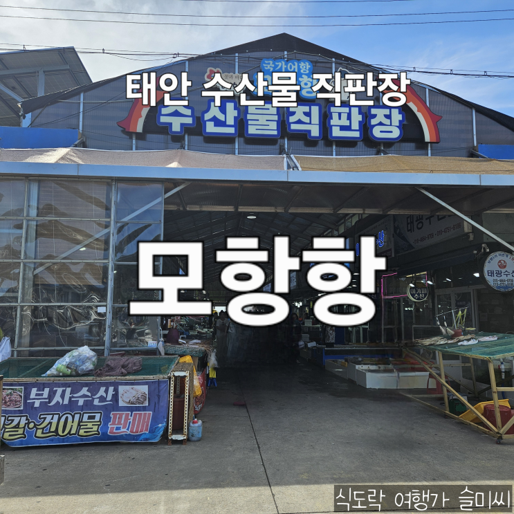  충남 태안 여행 가볼 만한 곳 수산시장 수산물 직판장 모항항 즐기기