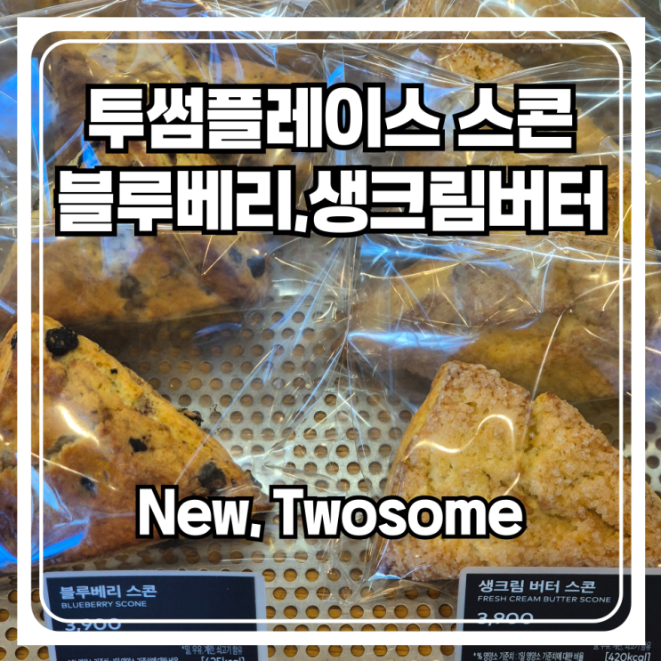  투썸플레이스 스콘 리뉴얼! 블루베리, 생크림버터 스콘 등장