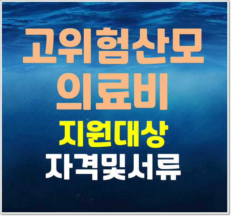  2025년 고위험 산모 의료비지원 대상 신청자격 필요서류