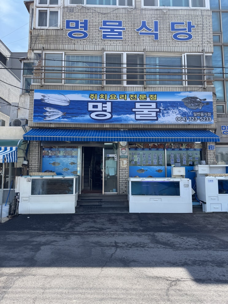  제주공항 근처 갈치조림 현지인 찐 맛집 명물