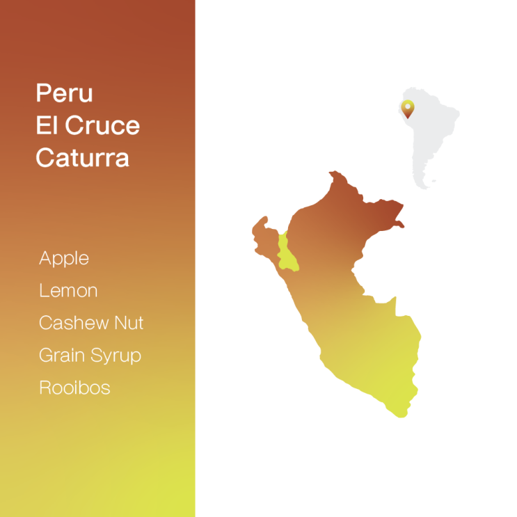  [생두 & 로스팅 리뷰] - 페루 라 나랑하 카투라 워시드 - Peru La Naranja Caturra Washed