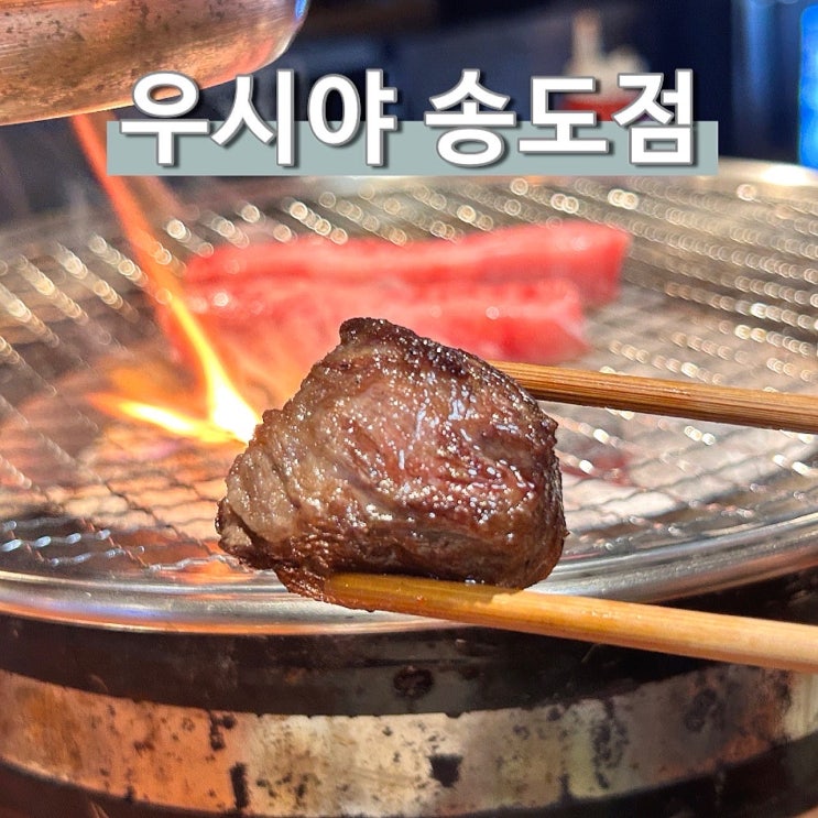  우시야 한우 인천 송도 오마카세 생일 디너 코스 추천