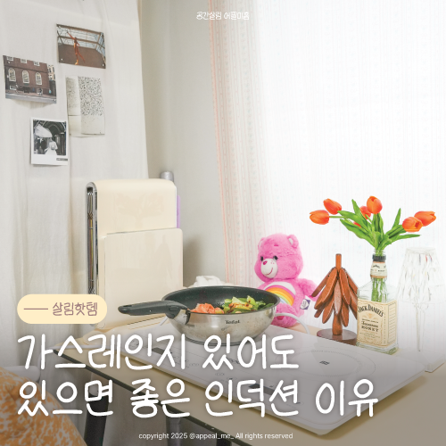  인덕션렌지추천 장단점 비교 오쿠 2구인덕션으로 냉장고털이 홈마라탕 만들기