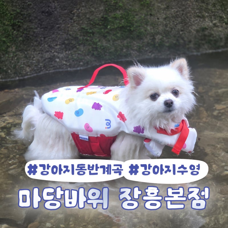 사진 2