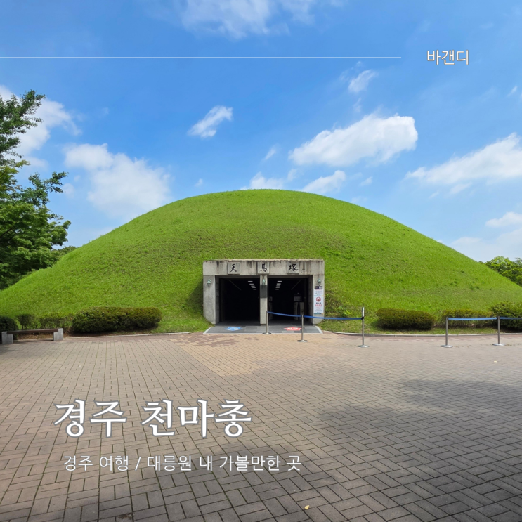  재개관 천마총 뜻 / 내부, 주인, 금관, 입장료