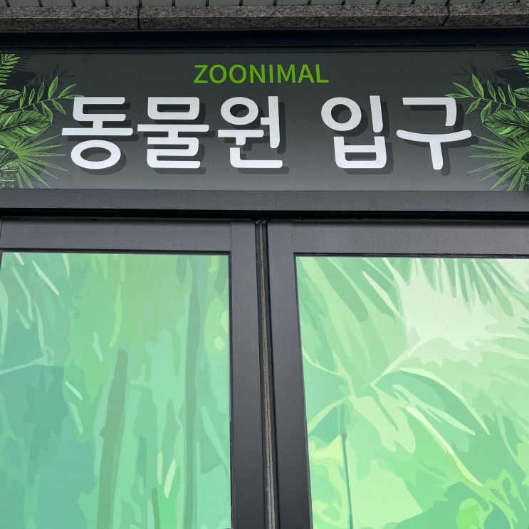  청주 아이랑 가볼 만한 곳 느좋 쥬니멀동물원 먹이주기 체험 청주나들이