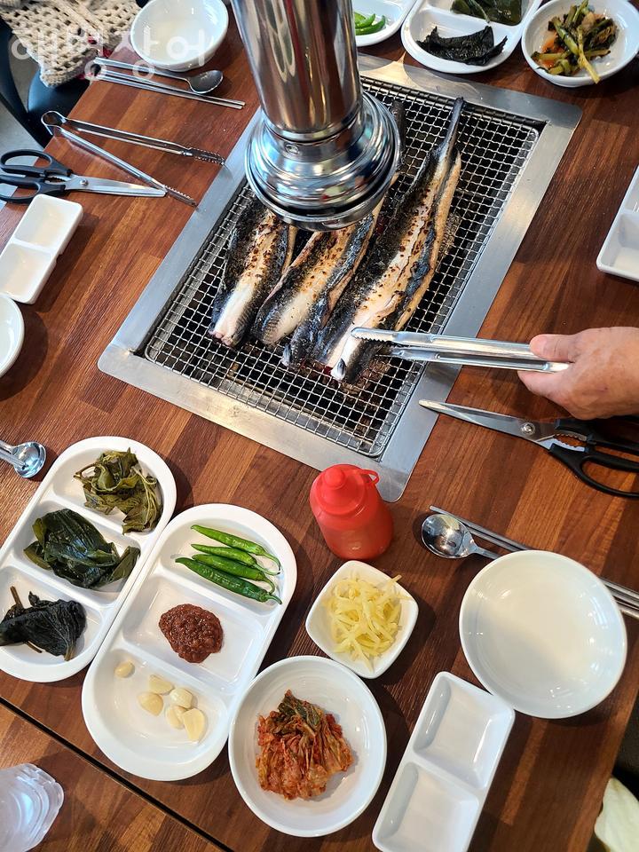 해병장어 사진 5