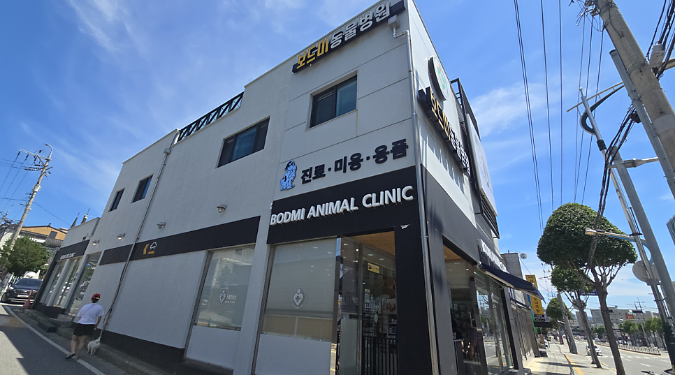 보드미동물병원 사진 1