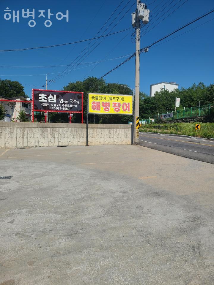 해병장어 사진 3