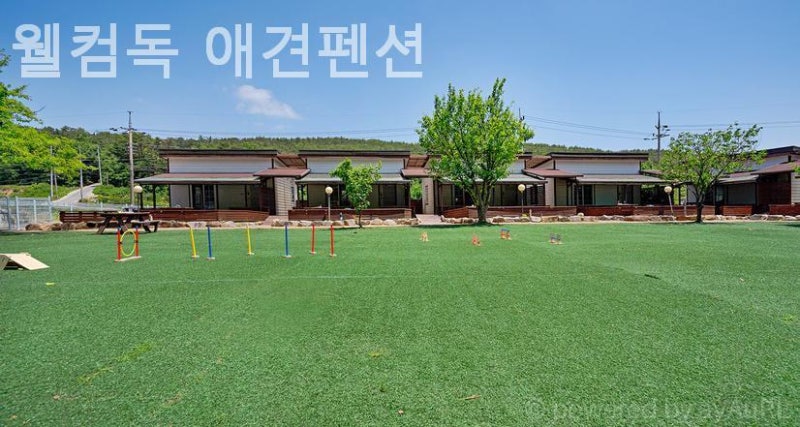 웰컴독 애견펜션