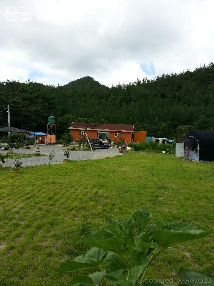 산골 사진 4