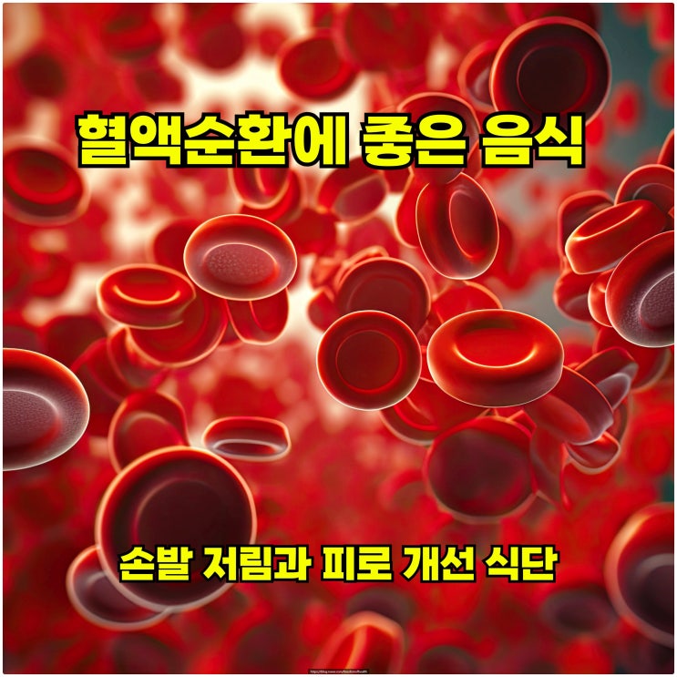  혈액순환에 좋은 음식 – 손발 저림과 피로 개선 식단