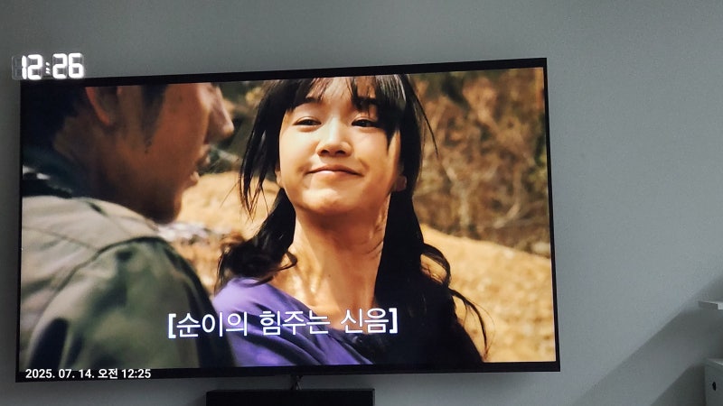 님은먼곳에 2008 수애-엄태웅-정진영