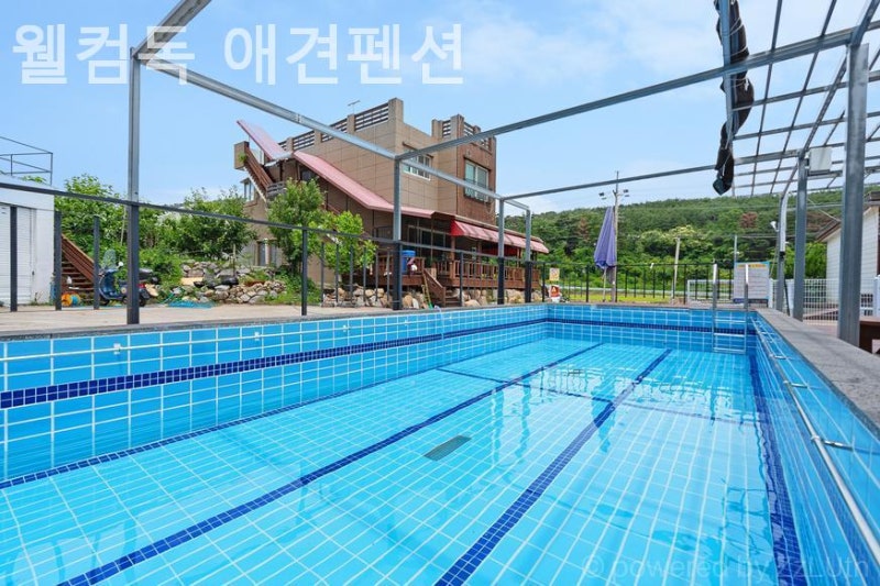 사진 2