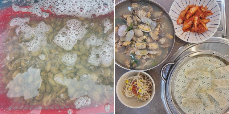  [맛집리뷰] 바지락왕창칼국수 화성시청점, 시원한 국물이 매력적인 화성맛집
