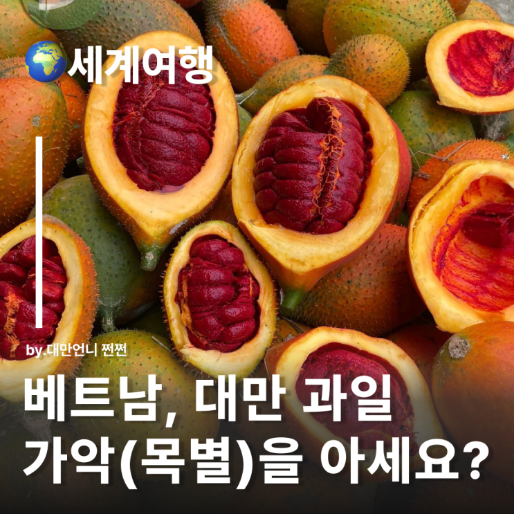  너도 과일이야?! 목별 Gac(가악) 베트남과 대만에서 만난 과일 베트남과일 대만과일