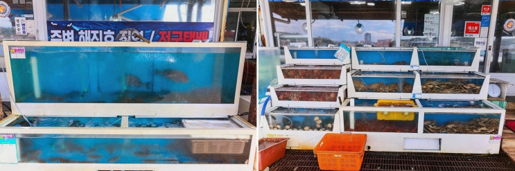  부모님과 함께하는 특별한 시간, 울진 우와횟집의 대게와 싱싱한 해산물, 죽변항 횟집