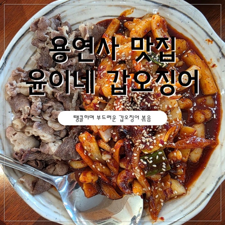  대구 옥포 용연사 송해 공원맛집 "윤이네 갑오징어" 후기